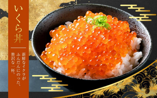賞味期限まもなく】北海道産 鮭いくら醤油漬500g(250g×2箱) 【 いくら ...