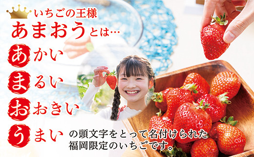 福岡県産「 あまおう 」1400ｇ（280ｇ×5ｐ）【数量限定】フルーツ いちご あまおう 旬 の時期にお届け 福岡 1.4kg 2P1
