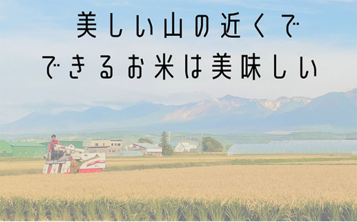 ◇3ヶ月連続定期便◇ななつぼし 玄米 10kg /北海道 上富良野産 ～It's