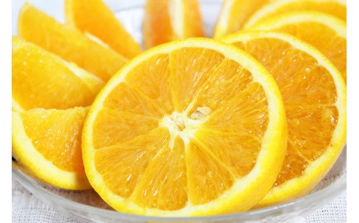[訳あり 希少]国産バレンシアオレンジ 7kg[ご家庭用] [2024年6月下旬頃〜7月上旬頃に発送予定] / みかん 蜜柑 フルーツ 果物 くだもの オレンジ