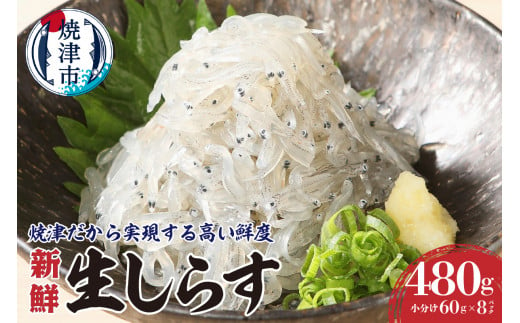 a10-419　静岡県漁連 お刺身用冷凍生しらす