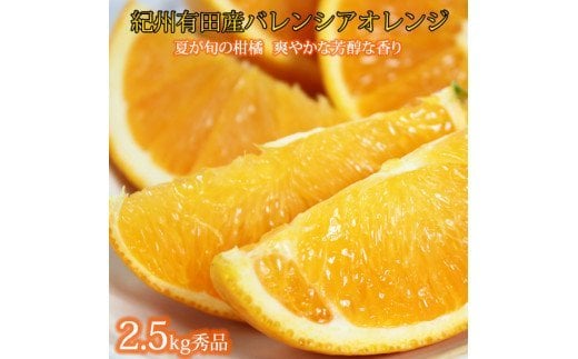  秀品　希少な国産バレンシアオレンジ　2.5kg　※2024年6月下旬頃～7月上旬頃順次発送（お届け日指定不可）/ みかん 蜜柑 フルーツ 果物 くだもの オレンジ バレンシアオレンジ  1034280 - 和歌山県紀美野町