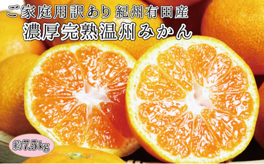  【ご家庭用訳アリ】紀州有田産濃厚完熟温州みかん　7.5kg　※2025年11月下旬頃〜2026年1月下旬頃に順次発送予定(お届け日指定不可) / 果物 フルーツ くだもの みかん 【uot704A】 1030413 - 和歌山県紀美野町