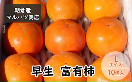 柿 富有柿 早生 Lサイズ×10個入 マルハツ商店