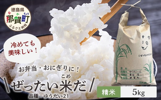 令和6年産 新米 徳島県那賀町産 ぜったい米(こめ)だ 5kg ゆうだい21【徳島 那賀町 国産 米 お米 白米 精米 5キロ 徳島県産 国産米 高級米 単一原料米 おいしい 冷めても美味しい お弁当 おにぎり 遠足 ピクニック 贈物 プレゼント お歳暮 ギフト 産地直送】ZP-4 1061036 - 徳島県那賀町