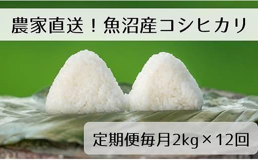 新米先行受付【定期便／全12回】精米2kg 新潟県魚沼産コシヒカリ「山