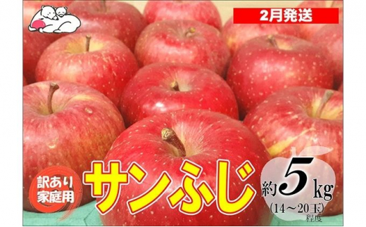 2月発送】白熊 訳あり家庭用 サンふじ 約5kg 糖度13度【弘前市産・青森