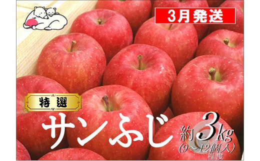 3月発送】白熊 特選 サンふじ 絆 約3kg 糖度13度【弘前市産・青森