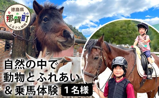 自然の中で動物とふれあい&乗馬体験(1名)CC-1 徳島 那賀 体験 乗馬 乗馬体験 動物とふれあい アウトドア レジャー 1名様 1枚[体験チケット]