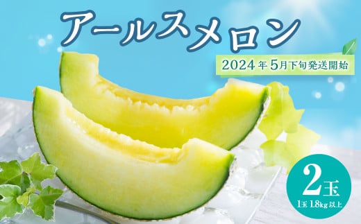 【2024年5月下旬発送開始】 熊本県産 アールスメロン 2玉セット フルーツ 果物 くだもの メロン