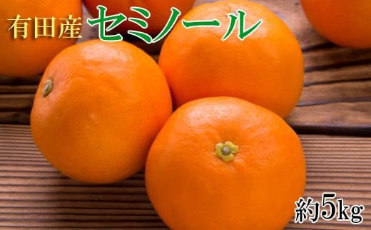  和歌山有田産セミノールオレンジ約5kg(サイズおまかせ　秀品) / 果物 オレンジ フルーツ 蜜柑 みかん  1032822 - 和歌山県紀美野町