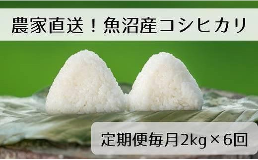 新米先行受付【定期便／全6回】精米2kg 新潟県魚沼産コシヒカリ「山