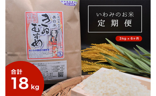 【T-1】【定期便6回】いわみのお米（きぬむすめ）3kg×6ヶ月