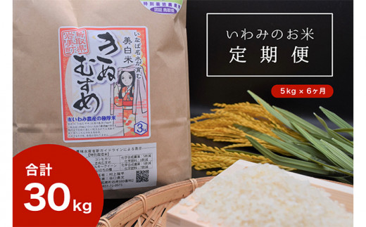 【T-2】【定期便6回】いわみのお米（きぬむすめ）5kg×6ヶ月