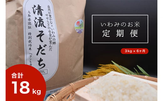 【T-3】【定期便6回】いわみのお米 コシヒカリ（清流そだち）3kg×6ヶ月