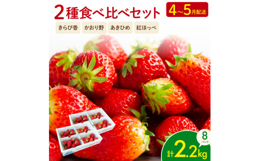 いちご 2種 2kg 以上 苺 旬 産地 直送 フレッシュ イチゴ 紅ほっぺ 章