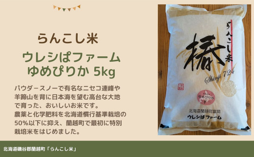 らんこし米 (ゆめぴりか) 5kg (ウレシぱファーム)