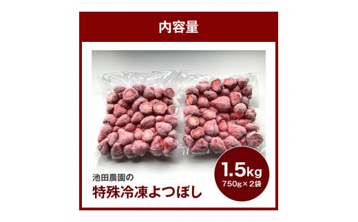 旬のおいしさそのまま！特殊冷凍よつぼし1.5kg - 福岡県久留米市