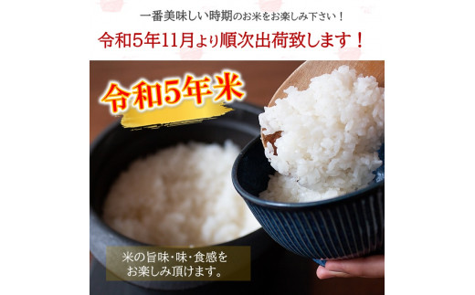 令和5年産 熊本県産 無洗米 新米 ほたるの灯り 15kg - 熊本県和水町