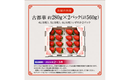 2024年2月～3月発送】高級いちご「古都華」4Lサイズ以上２パック