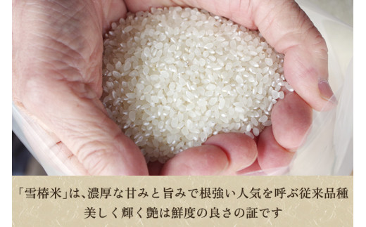 令和5年産米】新潟産コシヒカリ「雪椿米」特別栽培米 精米10kg （5kg×2