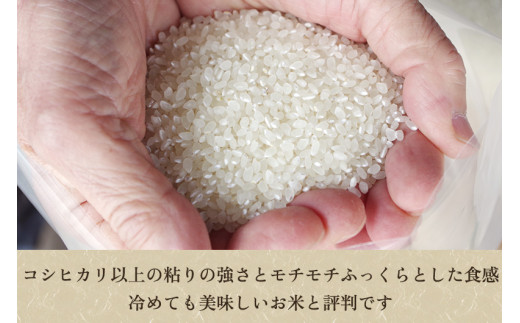 【令和5年産新米】新潟産ミルキークイーン「ミルキー米」特別栽培米 精米10kg（5kg×2袋） 白米真空パック 加茂市 織原農園