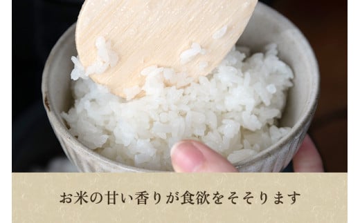 【令和5年産新米】新潟産コシヒカリ「雪椿米」特別栽培米 精米10kg （5kg×2袋）白米真空パック 従来品種コシヒカリ 加茂市 織原農園|織原農園