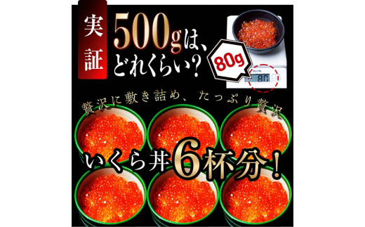 新物 北海道産 いくら（鮭卵）醤油漬け 大容量500g(250g×2パック) 国産 小分けパック イクラ 海鮮丼 ギフト 贈り物 魚介類 魚介 海産物  鮭 シャケ しゃけ 生産者 支援 応援 クラウドファンディング 実施中 GCF F22M-085