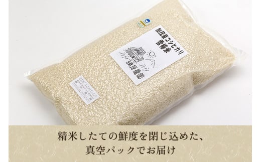 令和5年産新米】新潟産コシヒカリ「雪椿米」特別栽培米 精米10kg （5kg