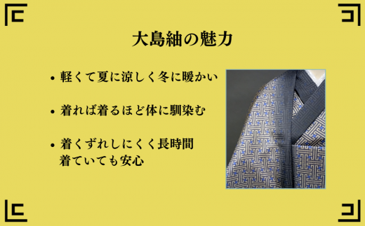 P-174【可愛くもシックにも遊べる夏帯地】本場大島紬 夏大島帯地 牡丹の花模様 名古屋帯 着物 反物 袋帯 -  鹿児島県いちき串木野市｜ふるさとチョイス - ふるさと納税サイト