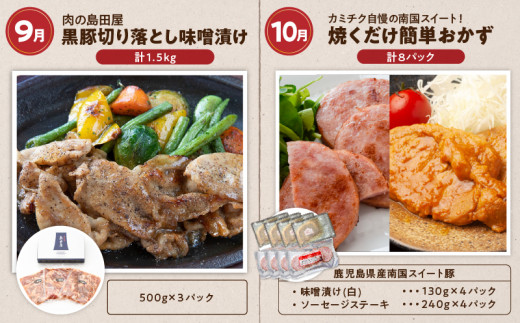 12ヶ月定期便】おうちごはん応援！お肉のおかず定期便 K000-T2315