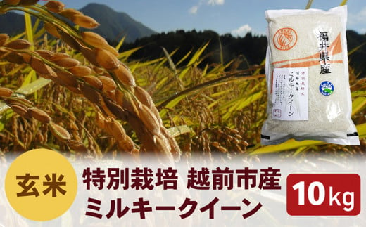 【令和5年度新米 玄米】特別栽培 越前市産ミルキークイーン 10kg 291420 - 福井県越前市