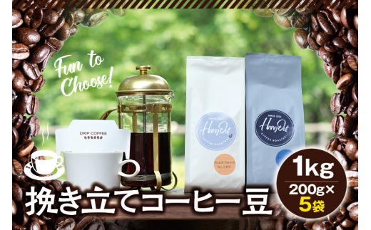 【豆】挽き立てコーヒー豆 1kg コーヒー豆 焙煎 コーヒー セット 1037760 - 和歌山県紀美野町