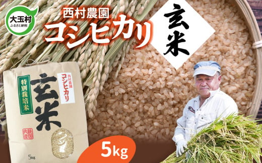 米 5kg コシヒカリ 【 令和6年産 】 玄米 ｜ 西村農園 コメ こめ お米 福島県 大玉村 ｜nm-kh05-g-R6 1488287 - 福島県大玉村