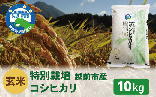 【令和5年度新米 玄米】特別栽培 越前市産コシヒカリ 10kg 291424 - 福井県越前市