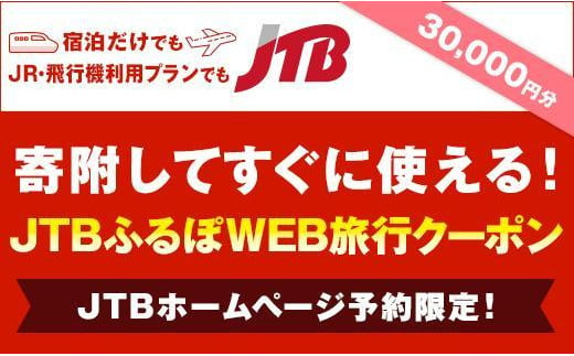 【三朝町】JTBふるぽWEB旅行クーポン（30,000円分） 1027802 - 鳥取県三朝町