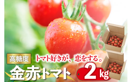 トマト好きが、恋をする。　1kg×2　金赤トマトミニ 1027120 - 愛知県常滑市