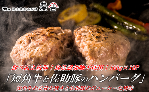 ９月限定】お腹いっぱい！食べ応え抜群「短角牛と佐助豚のハンバーグ