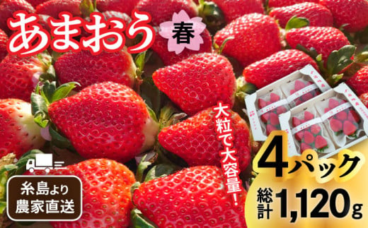 【先行予約】【農家直送！】糸島産 春 あまおう 280g × 4パック  (DXおよびGサイズ)   【2025年1月下旬より順次発送】糸島市 / 後藤農園 [AML002] いちご 福岡 528351 - 福岡県糸島市