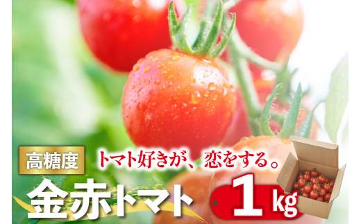 トマト好きが、恋をする。　1kg　金赤トマトミニ 1027119 - 愛知県常滑市