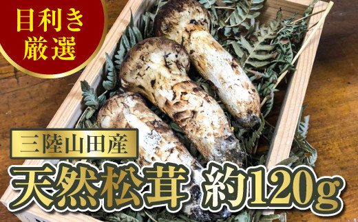 2023年発送】秋の味覚 三陸山田産松茸 約120g 【配送日指定不可】 YD