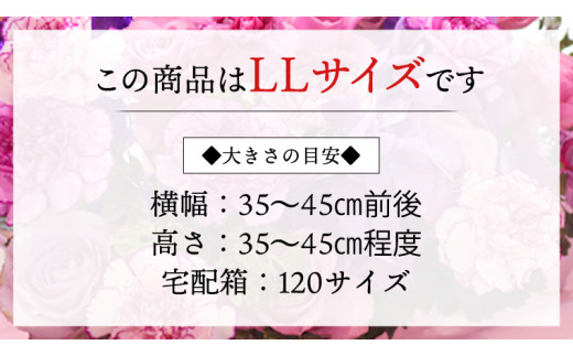 【 12ヶ月 定期便 】 癒し の フラワー セラピー アレンジメント LLサイズ お花 花 はな アレンジ リラックス リフレッシュ ストレス  [CT131ci]