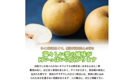❤️鳥取県産❤️　秋甘泉　約4kg　梨　糖度12度　訳あり　あきかんせん