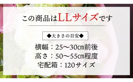 12ヶ月 定期便 】 癒し の フラワー セラピー ブーケ LLサイズ お花 花