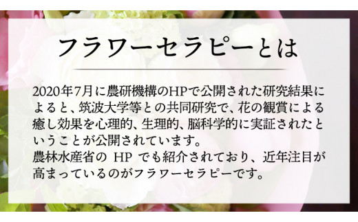 12ヶ月 定期便 】 癒し の フラワー セラピー ブーケ LLサイズ お花 花