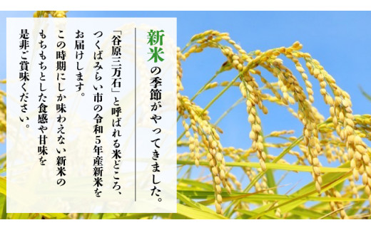 9月30日 で受付終了 / 2月上旬 在庫限り 】《 令和5年産 新米 》茨城県