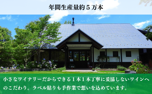 ふるさと納税 島根県 - B-33 【島根ワイナリー】ソーヴィニヨン