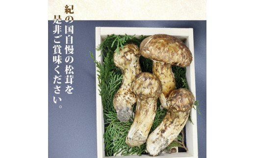 和歌山県産 松茸 200グラム - 野菜