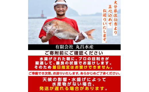 天然 鮮魚詰め合わせ (合計約2.8-3.2kg・3種以上) 【CS01】【(有)丸昌