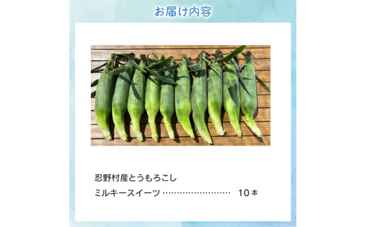 山梨県忍野村のふるさと納税 【先行予約】忍野村産とうもろこし（ミルキースイーツ）